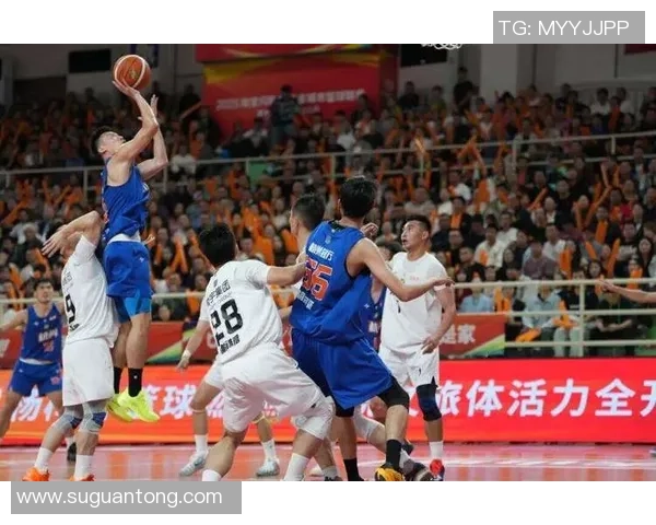 杭州篮球队总决赛精彩表现分析与实力评估